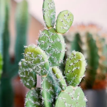 Center Design Loft, Near University, Schlossberg View, By Casa Momo *