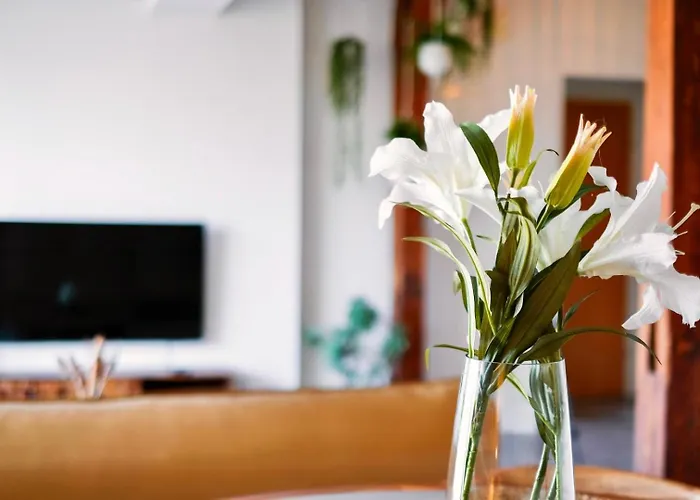 Center Design - Schlossberg View - Casa Momo Appartement *