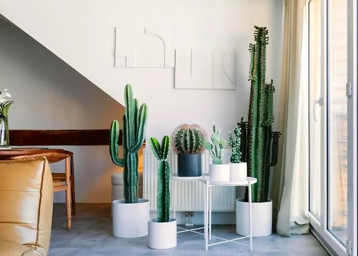 Center Design - Schlossberg View - Casa Momo Graz