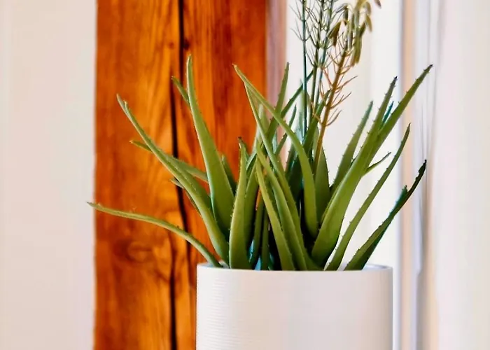 Apartman Center Design - Schlossberg View - Casa Momo Graz